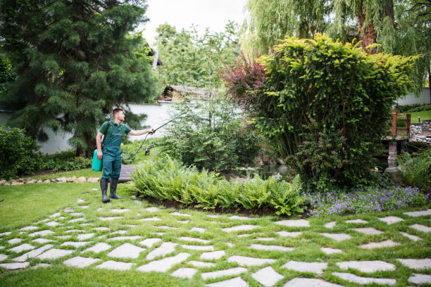 Best Artificial Turf Installation  in Columbia, IL
