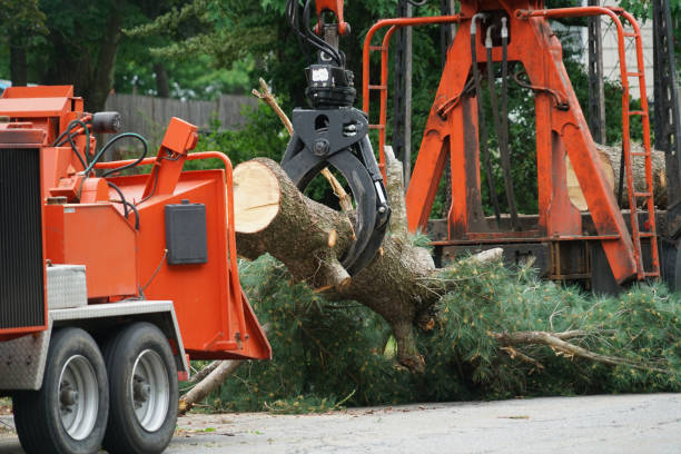 Mulching Services in Columbia, IL